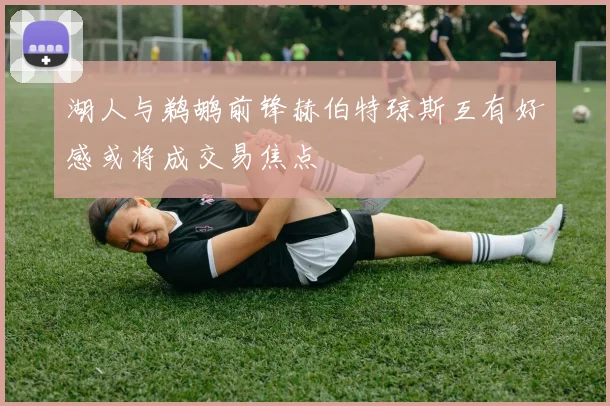 湖人与鹈鹕前锋赫伯特琼斯互有好感或将成交易焦点