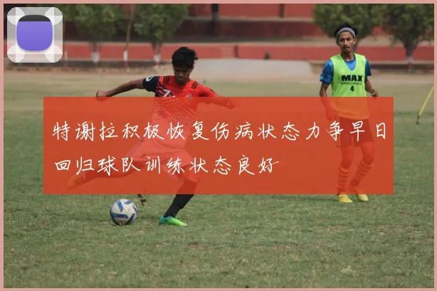特谢拉积极恢复伤病状态力争早日回归球队训练状态良好