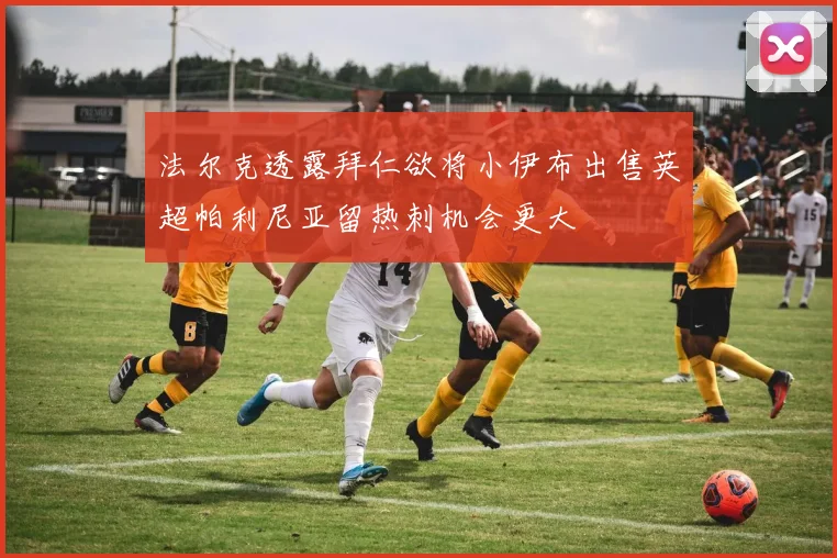 法尔克透露拜仁欲将小伊布出售英超帕利尼亚留热刺机会更大